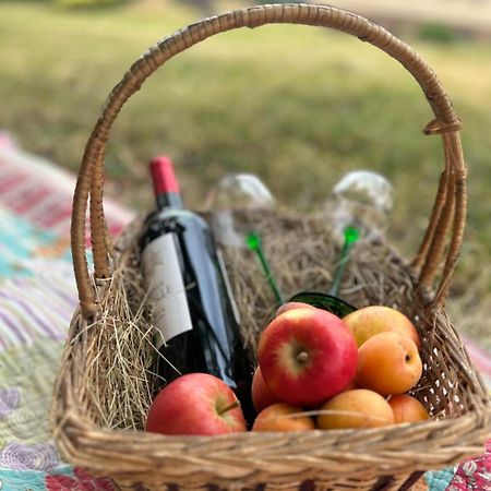 Biesheim Colmar Cote Rhin 아파트 외부 사진