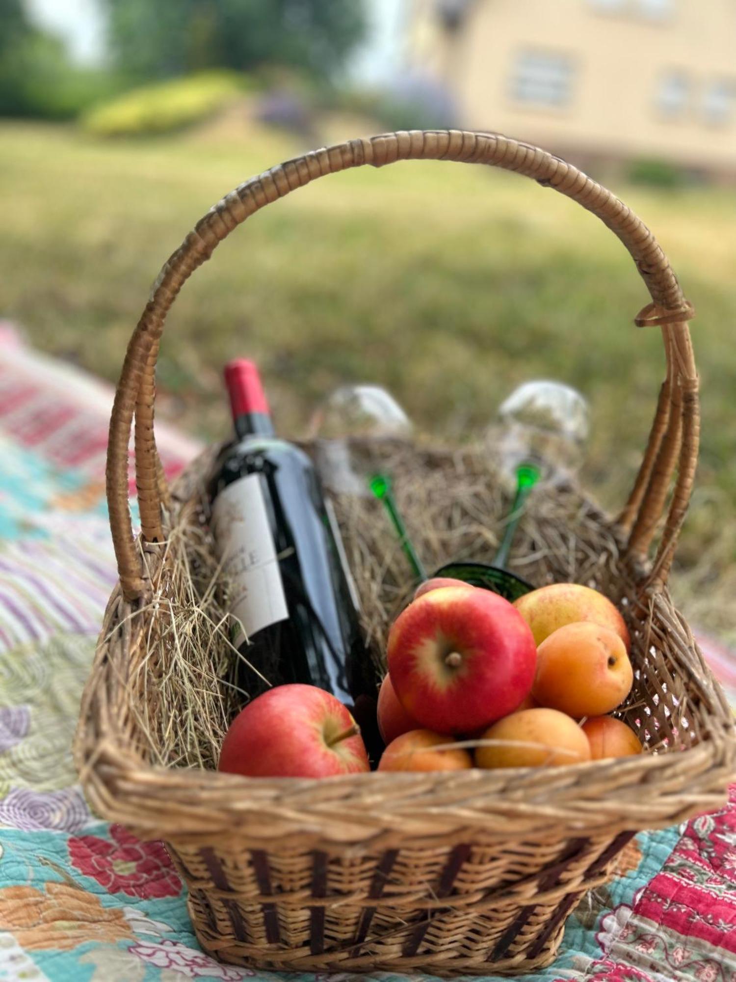 Biesheim Colmar Cote Rhin 아파트 외부 사진